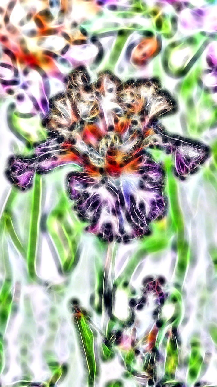 Windows Mobile Hintergrundbilder - Bumblebee Orchid , HD Wallpaper & Backgrounds