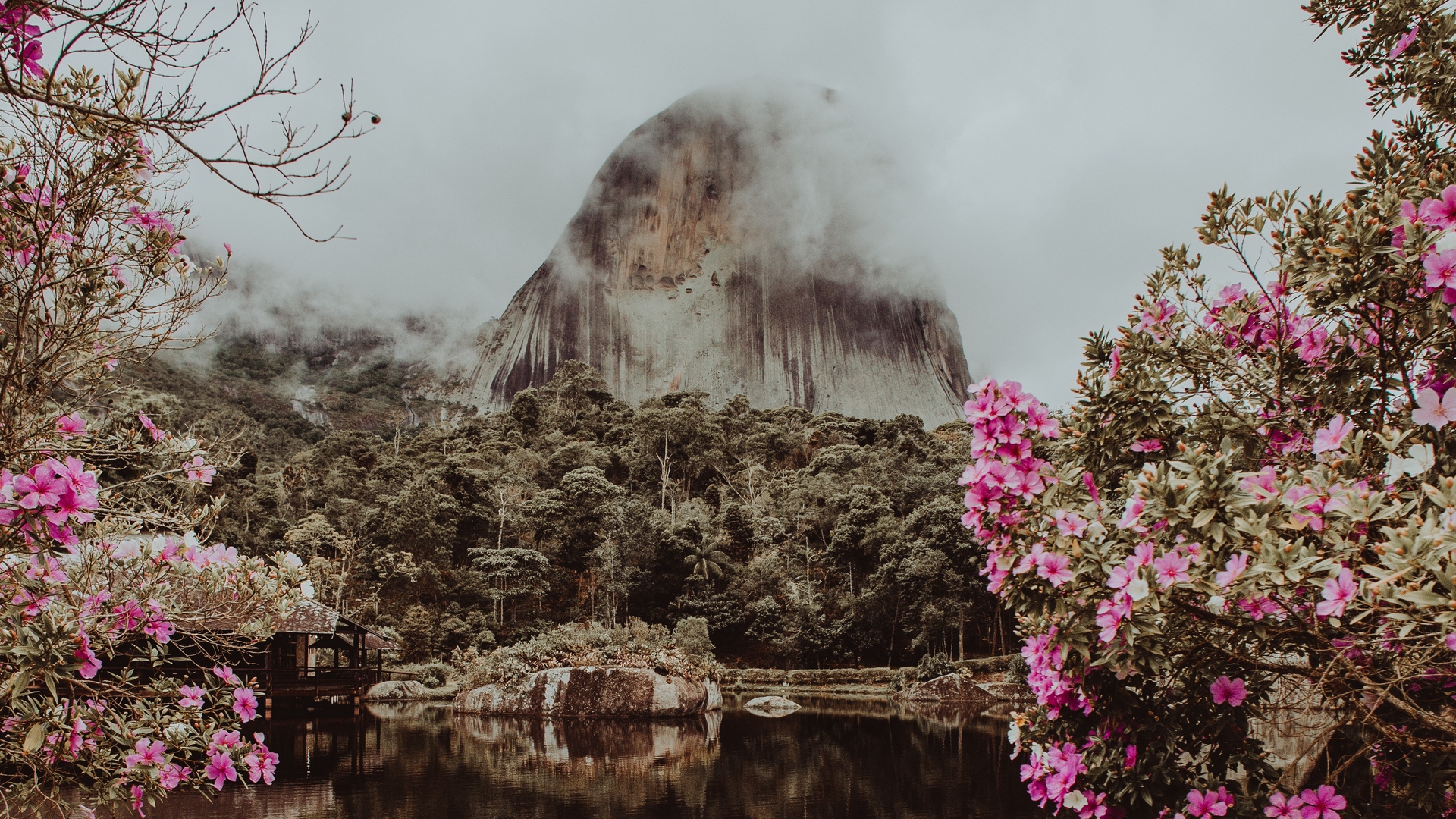 Wallpaper Mountain, Water, Fog, Clouds, Park, Flowers, - You Are A Good Person You Don T Lose People They Lose , HD Wallpaper & Backgrounds