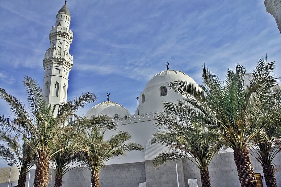 Trees Outside Dome Building, Qiblatain, Mosque, Madina, - Mosque Madina , HD Wallpaper & Backgrounds
