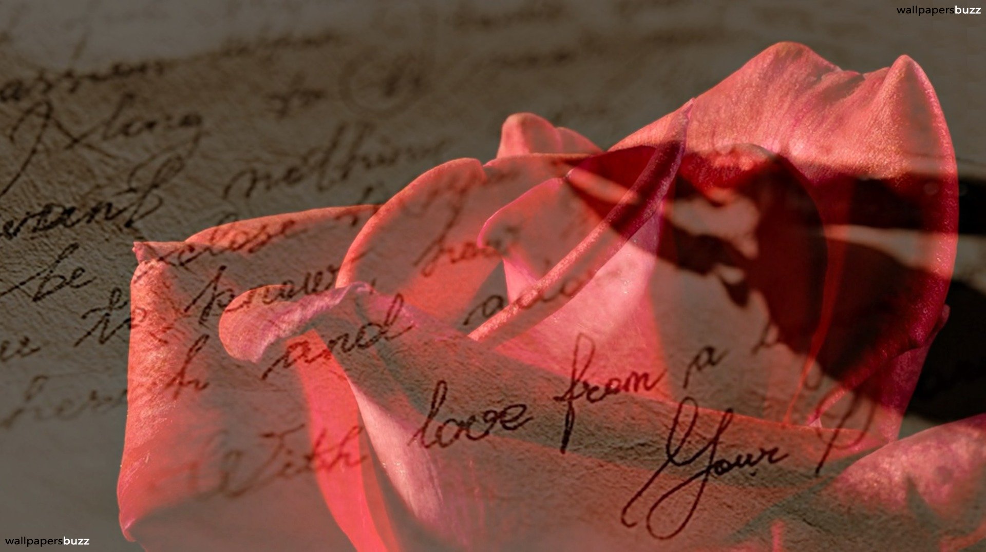 Love Letter For Tommy , HD Wallpaper & Backgrounds