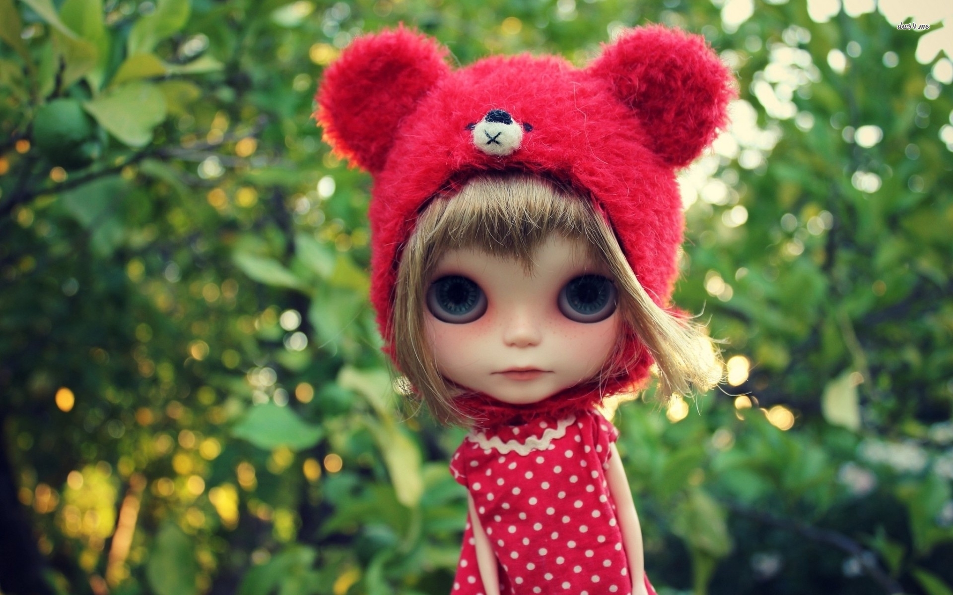 Teddy Doll , HD Wallpaper & Backgrounds