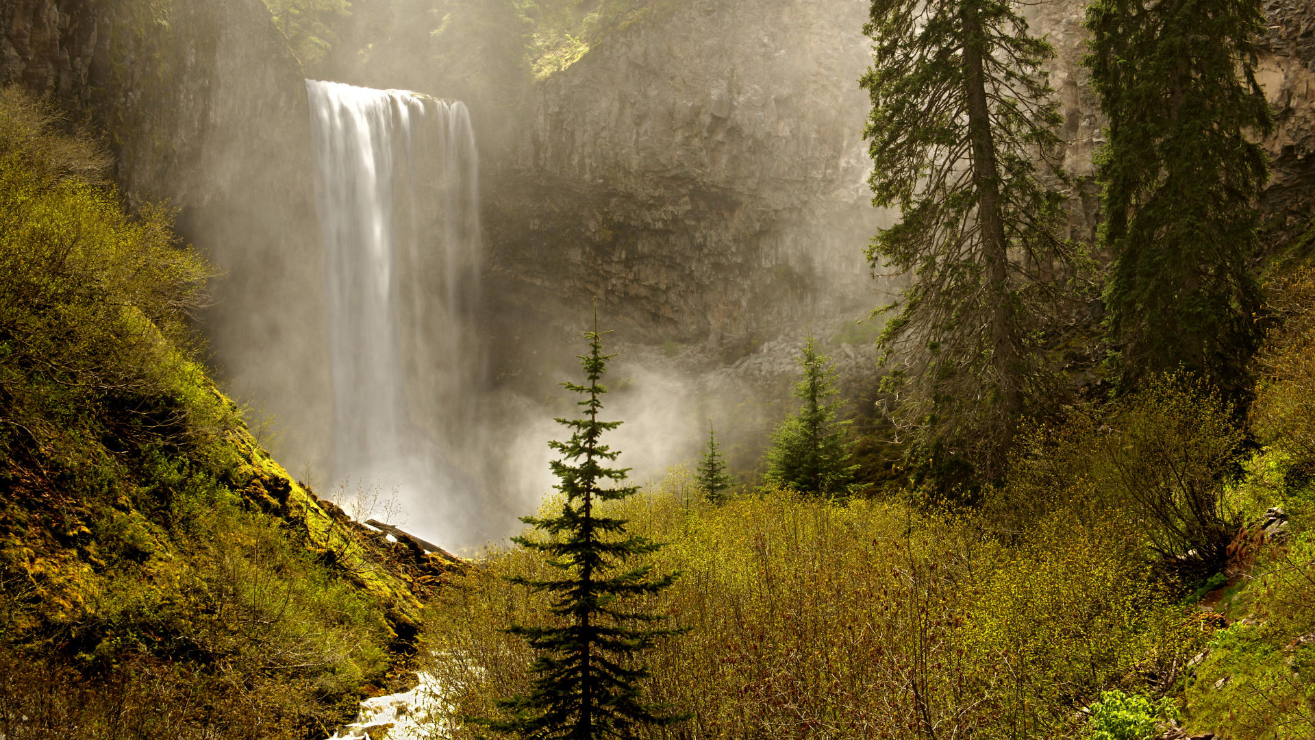 Oregon Backgrounds , HD Wallpaper & Backgrounds