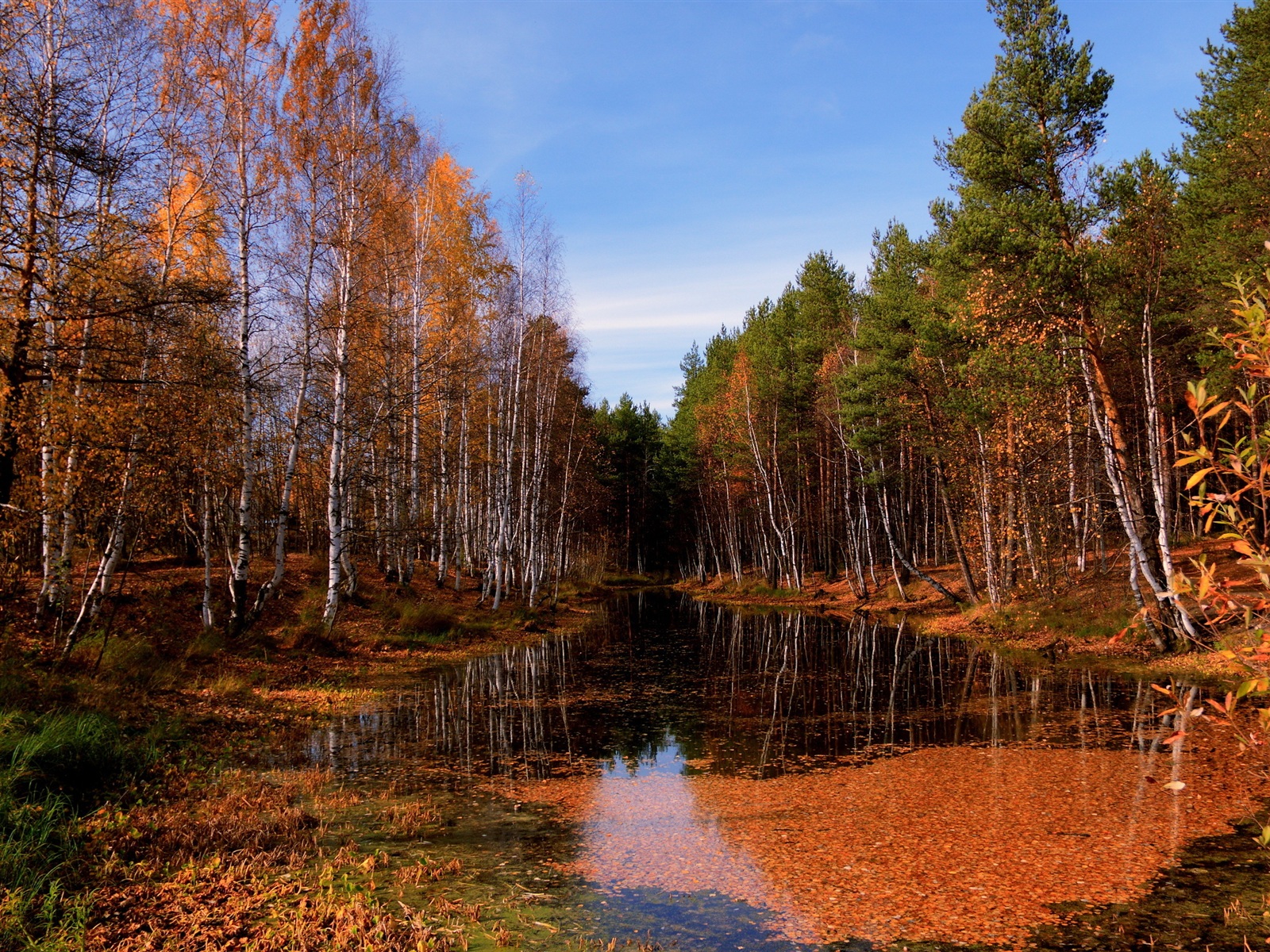 Лес Осенью И Зимой , HD Wallpaper & Backgrounds