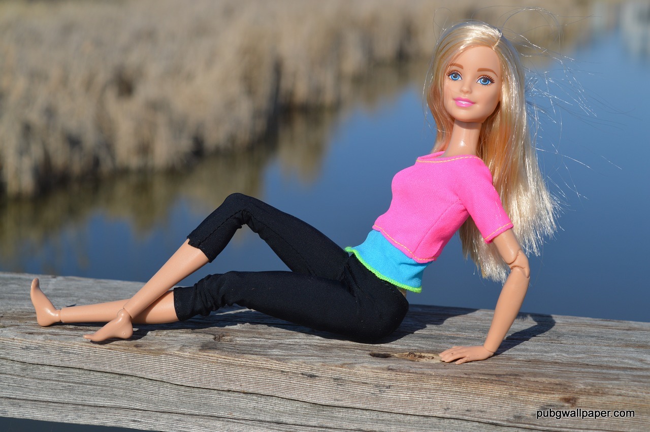 Barbie Real Life Video , HD Wallpaper & Backgrounds