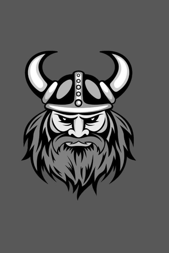 Viking Logo , HD Wallpaper & Backgrounds