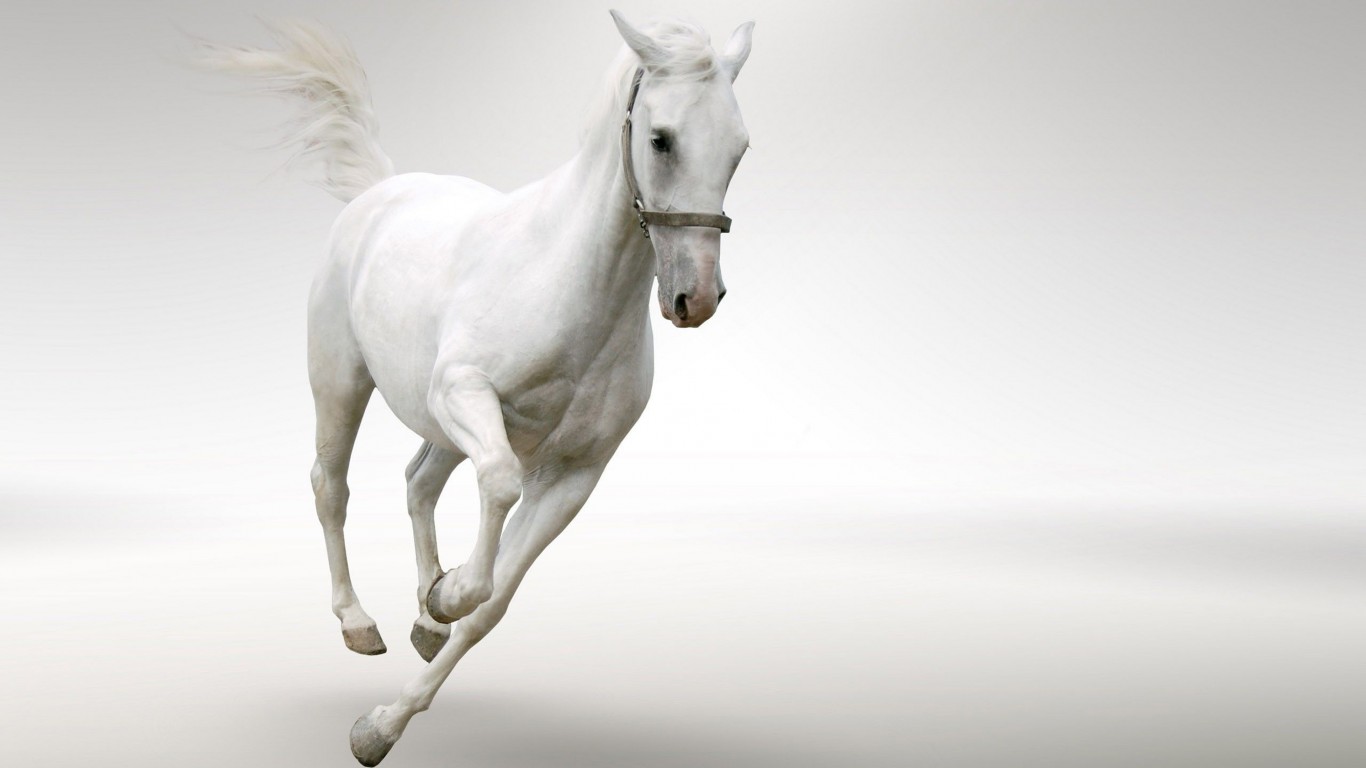 White Horse Running Fast , HD Wallpaper & Backgrounds