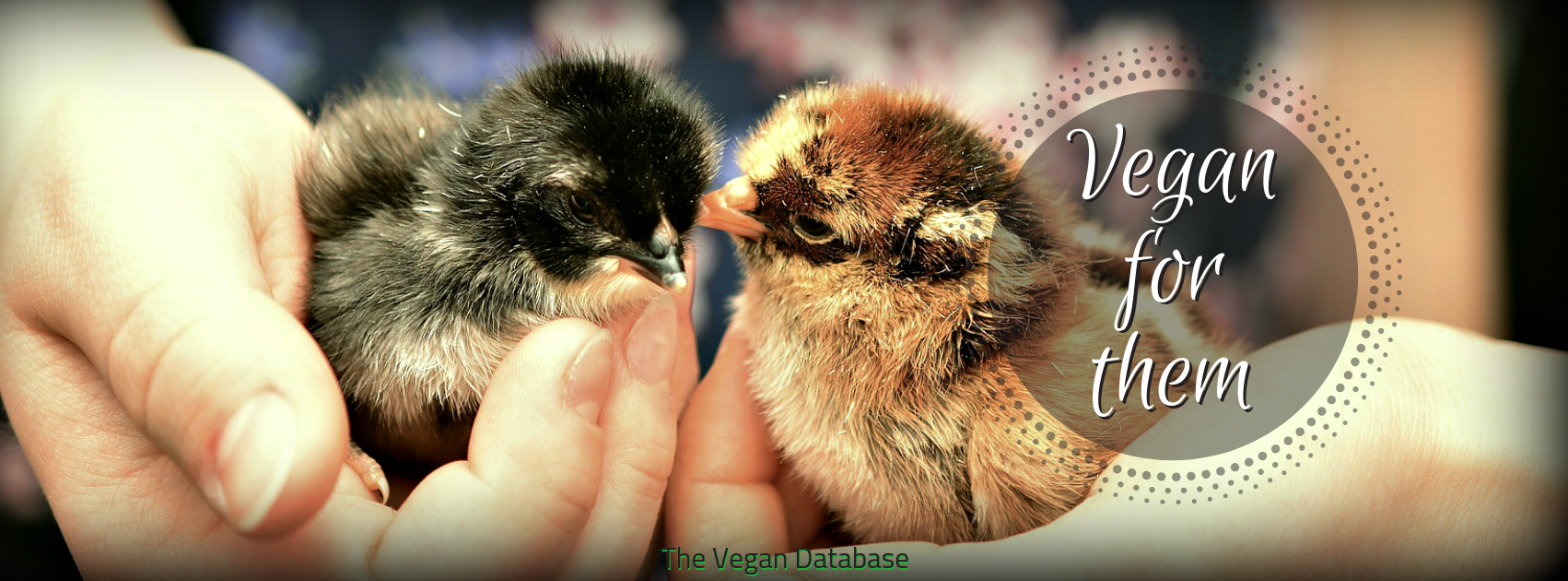 Facebook Cover Baby Chicks - Vegan Cover , HD Wallpaper & Backgrounds