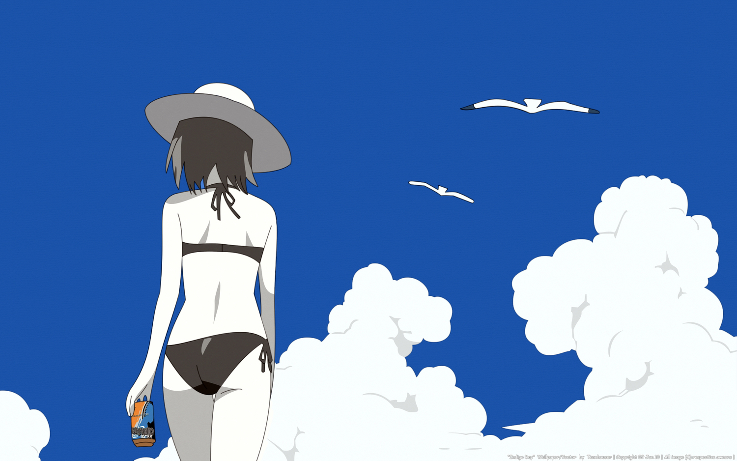 Bikini Haruno Sakura Naruto Swimsuit , HD Wallpaper & Backgrounds