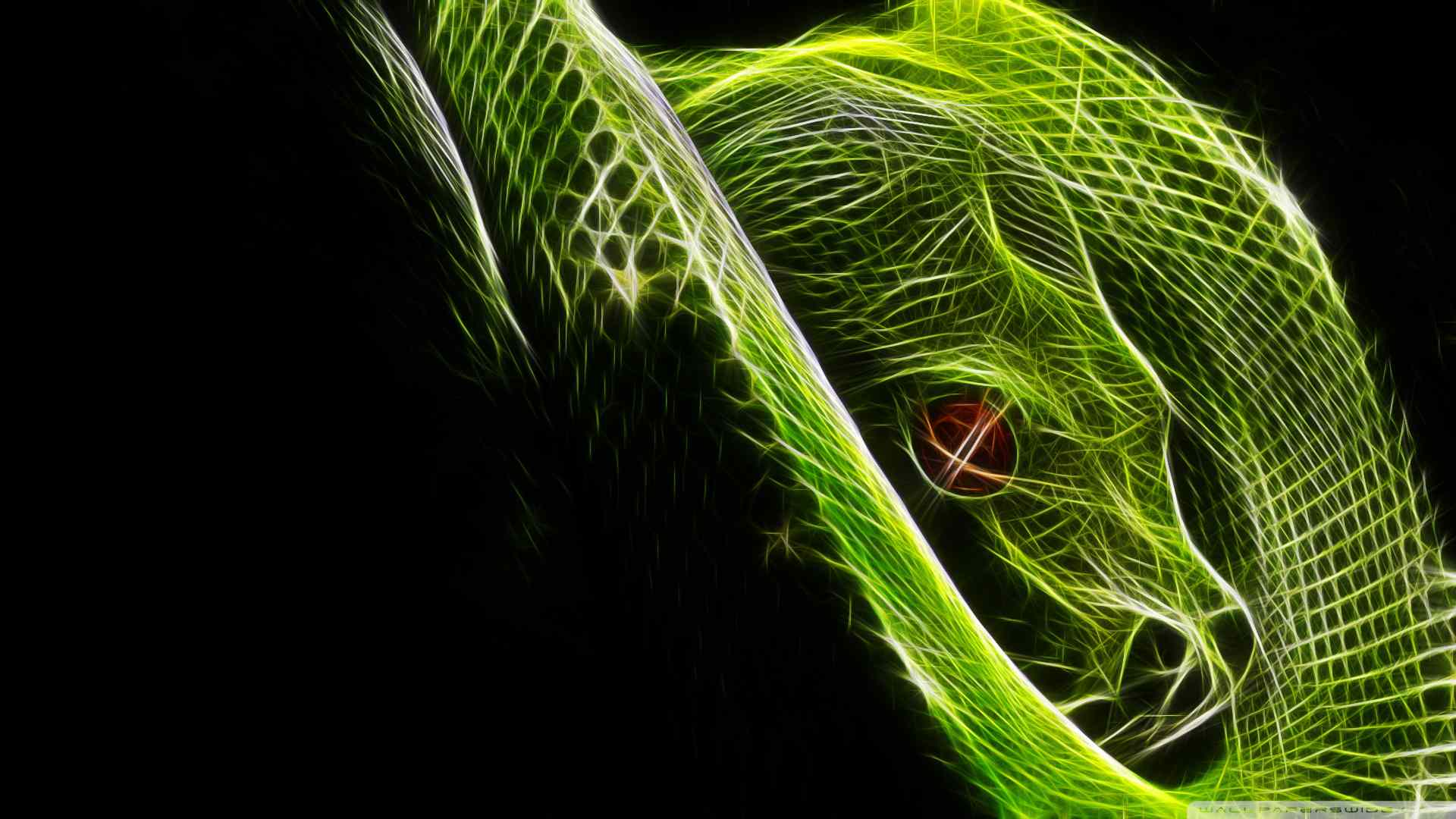 Snake Hd Wallpapers Download - Snake Background , HD Wallpaper & Backgrounds
