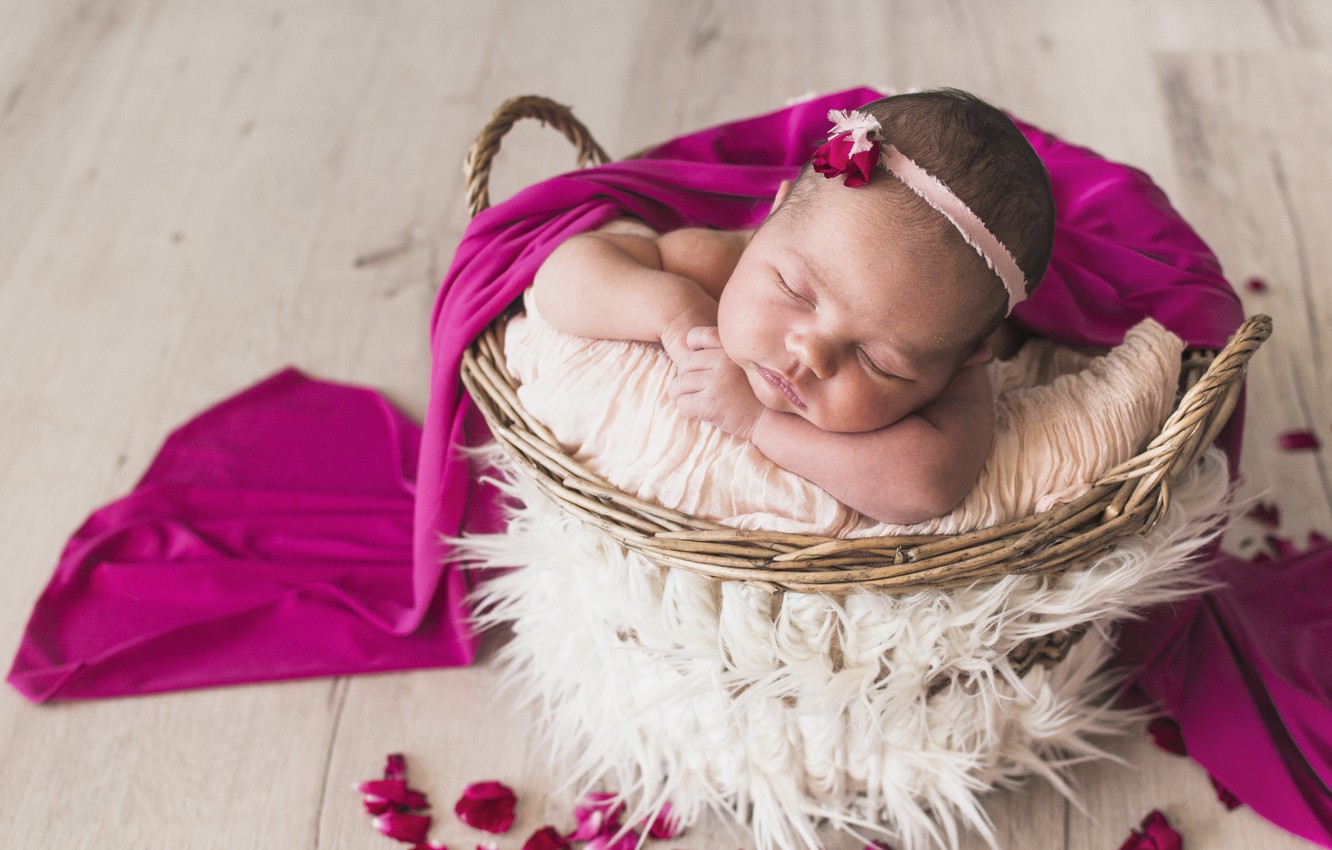 Photo Wallpaper Sleep, Sleeping, Girl, Basket, Baby, - Born Baby , HD Wallpaper & Backgrounds