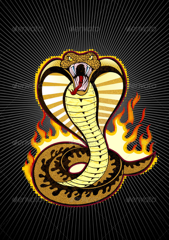 Serpent , HD Wallpaper & Backgrounds