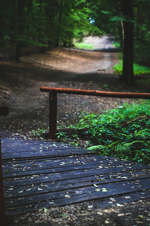 Wood Nature Forest Road Mountain Dark Summer Iphone , HD Wallpaper & Backgrounds