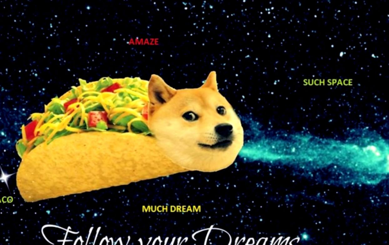 Doge Taco Youtube Hot Trending Now - Doge Taco , HD Wallpaper & Backgrounds