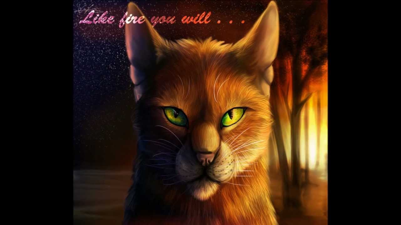 Warriors Cats Firestar Life , HD Wallpaper & Backgrounds