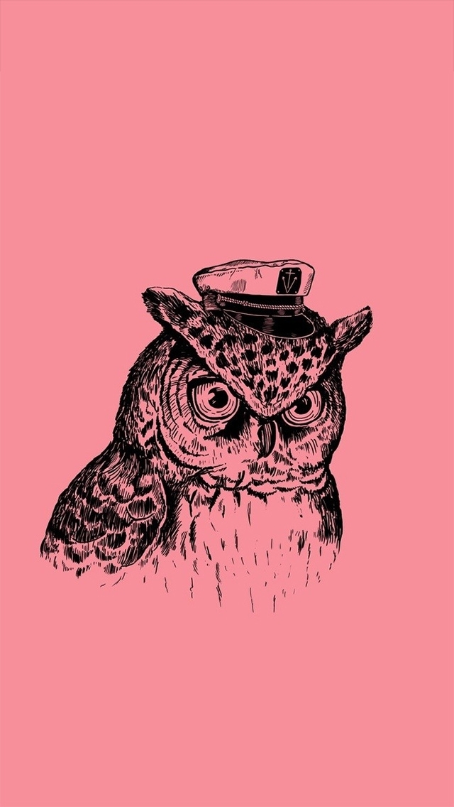 Owl , HD Wallpaper & Backgrounds
