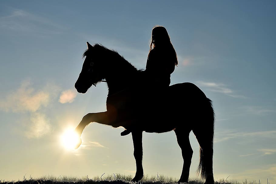 Horse, Huf, Pony, Animal, Silhouette, Human, Girl, - Girl And Pony Silhouette , HD Wallpaper & Backgrounds