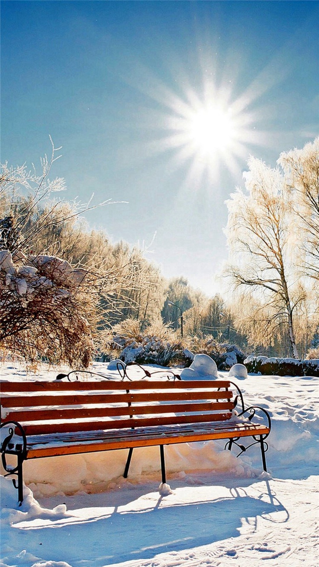 Winter Snowy Sunshine Bright Bench Park Iphone 8 Wallpaper - Winter Wallpaper Iphone 7 Plus , HD Wallpaper & Backgrounds