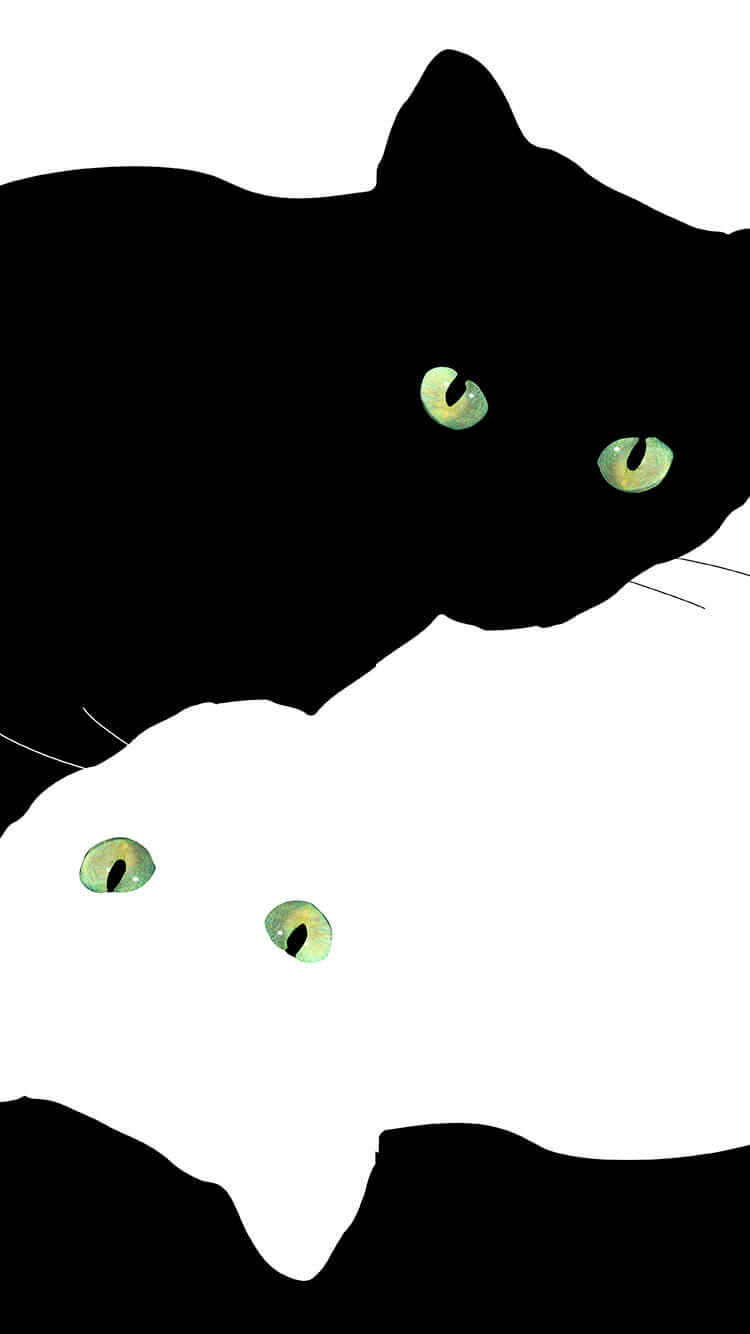 Cartoon Cat Wallpaper Hd Iphone , HD Wallpaper & Backgrounds