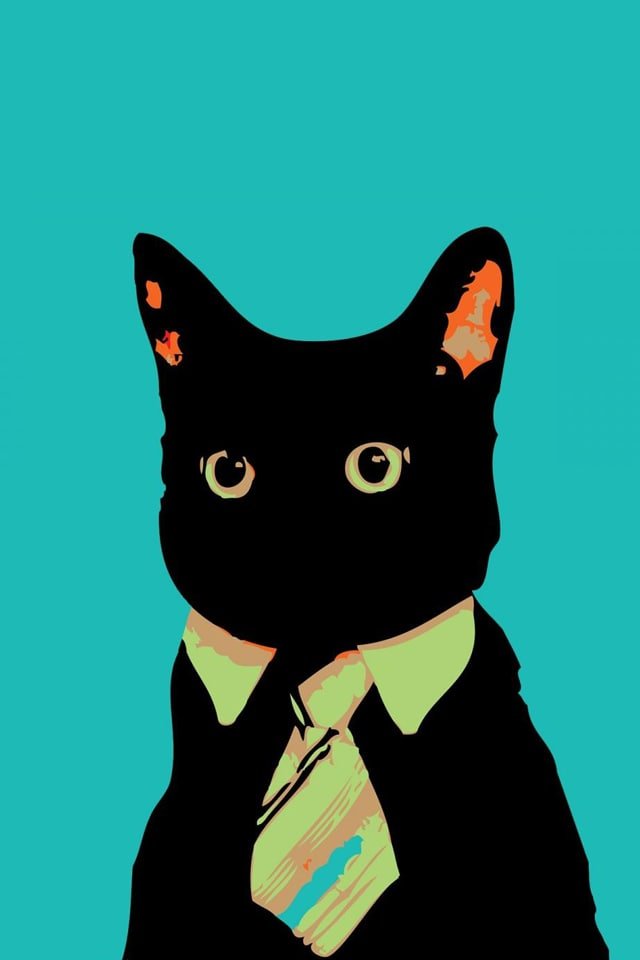 Office Cat , HD Wallpaper & Backgrounds