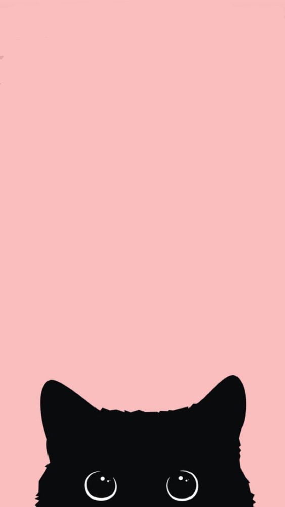 Cat (#2551121) - HD Wallpaper & Backgrounds Download