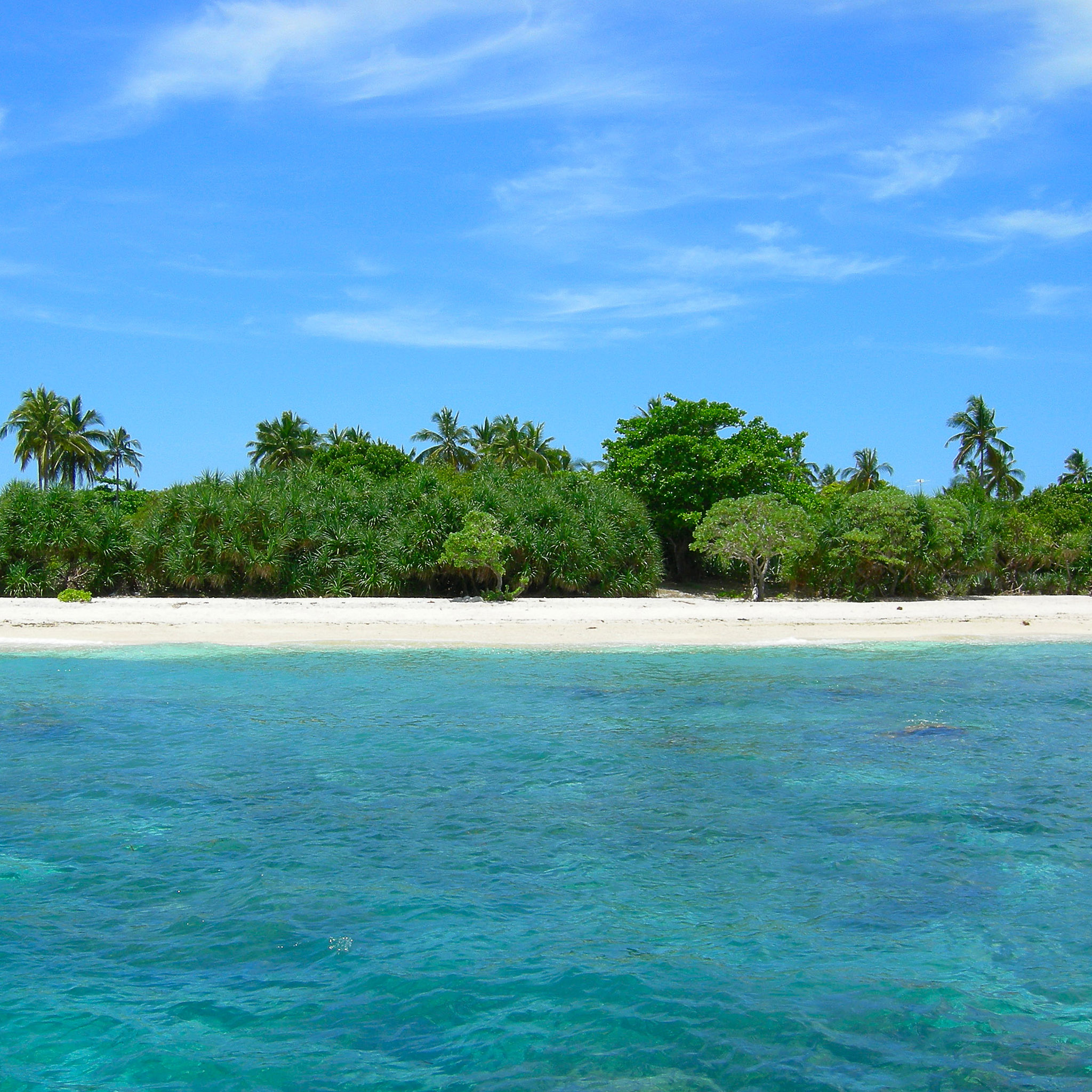 Balicasag Tropical Island Ipad Wallpaper - Beach View From Sea , HD Wallpaper & Backgrounds