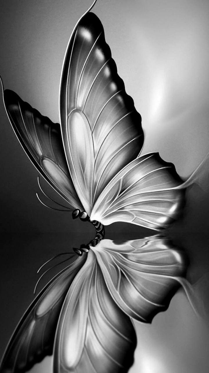 Butterfly Pencil Shading , HD Wallpaper & Backgrounds