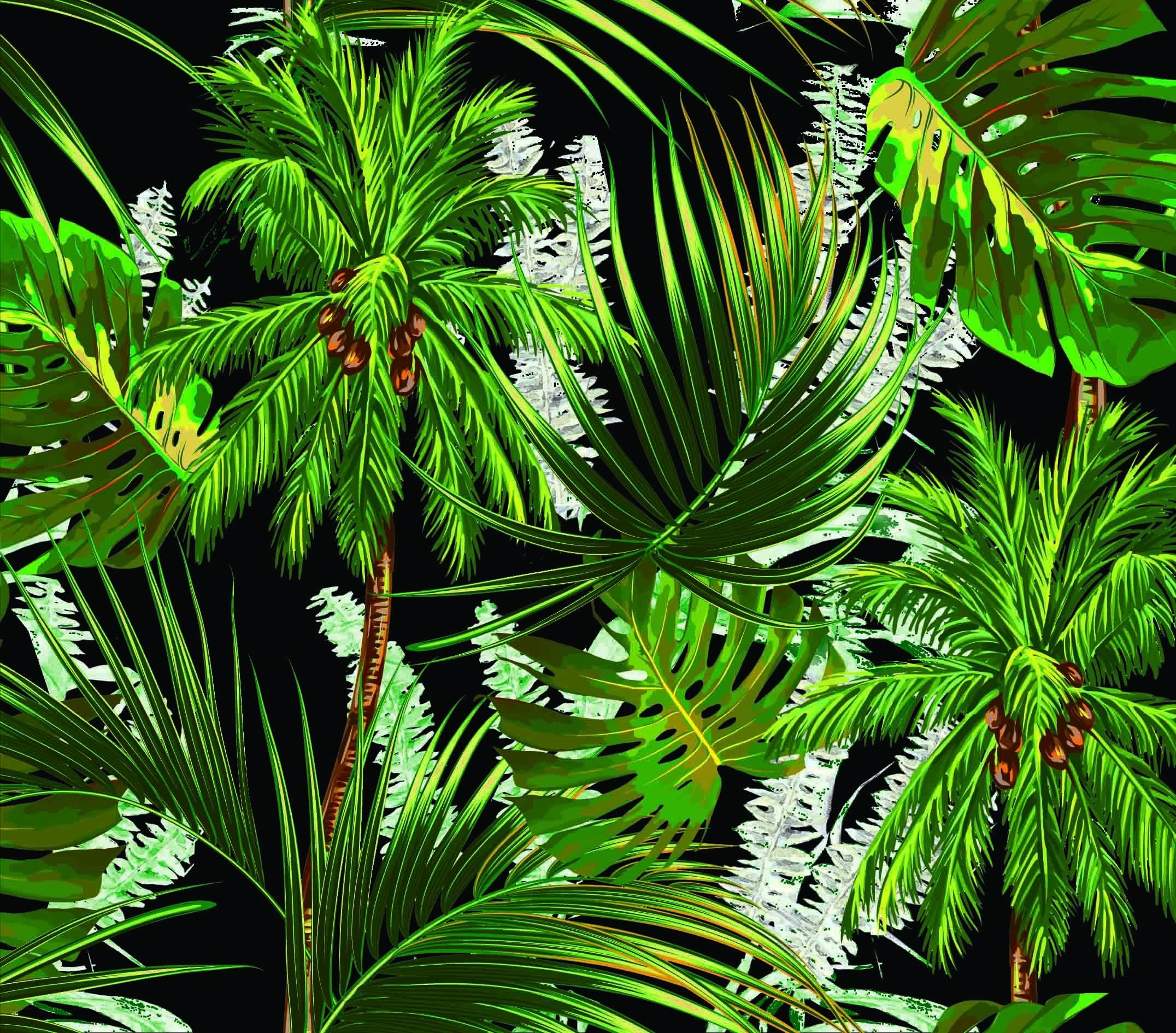 Tropical Jungle Wallpaper, Tropical Forest Wallpaper, - Saw Palmetto , HD Wallpaper & Backgrounds