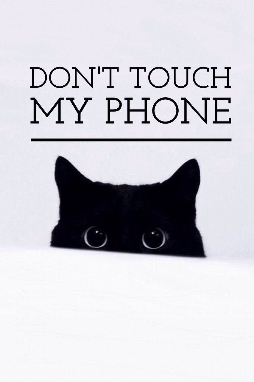 Cat, Wallpaper, And Phone Image - Don T Touch My Phone Cat , HD Wallpaper & Backgrounds