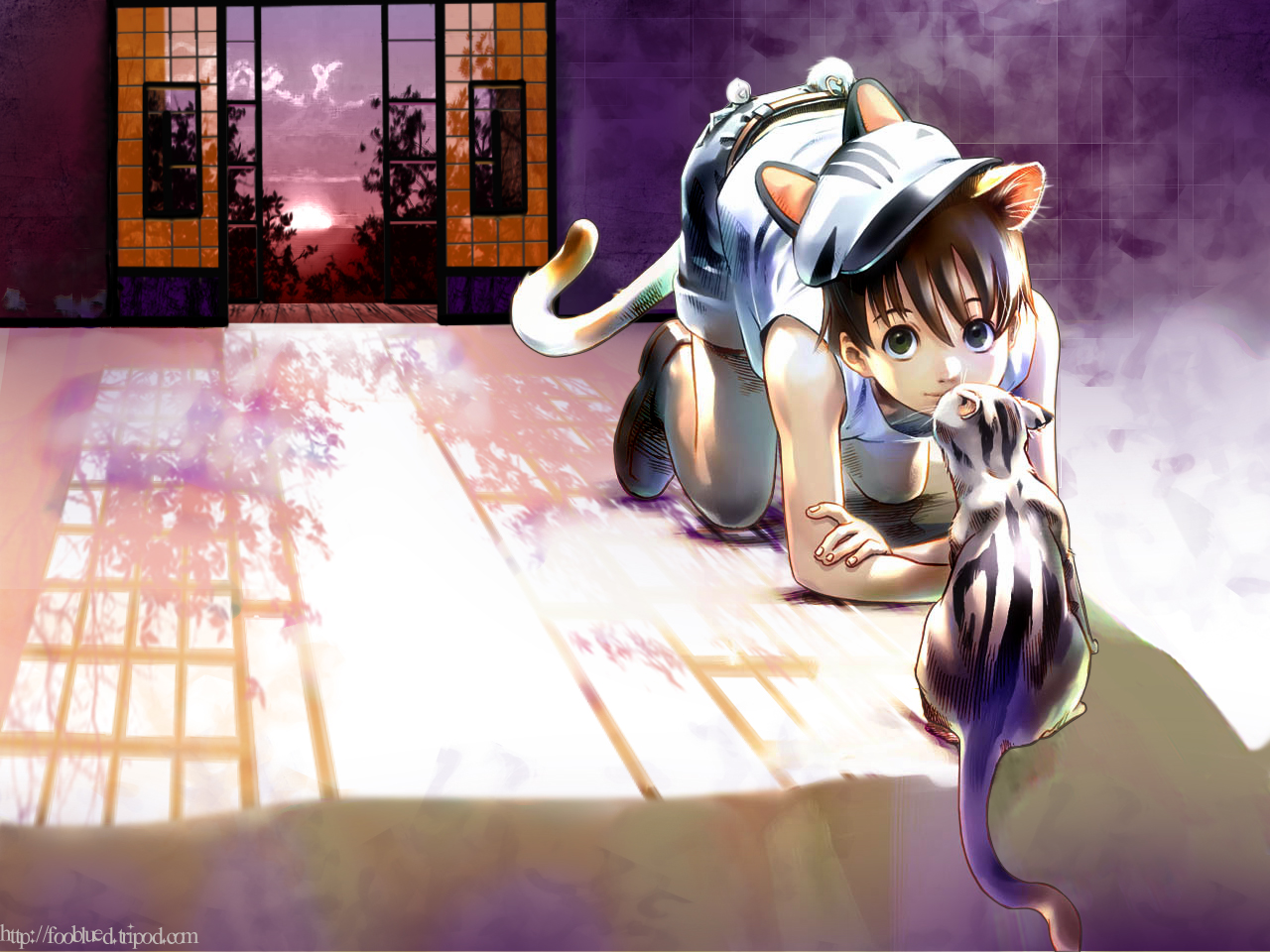 Anime Wallpaper 
	style Width - Cute Neko Boy Anime , HD Wallpaper & Backgrounds