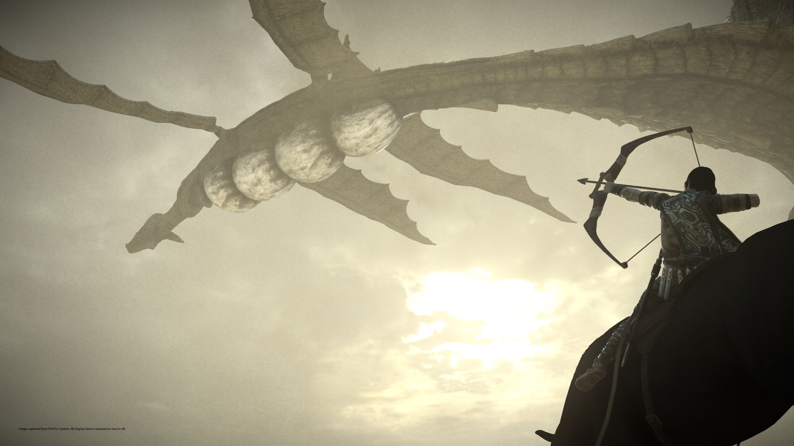 Shadow Of The Colossus 1440p , HD Wallpaper & Backgrounds
