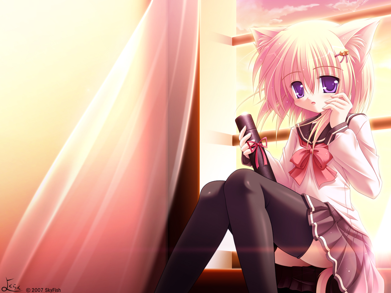 Neko Girl - Cute Neko Anime Girls , HD Wallpaper & Backgrounds