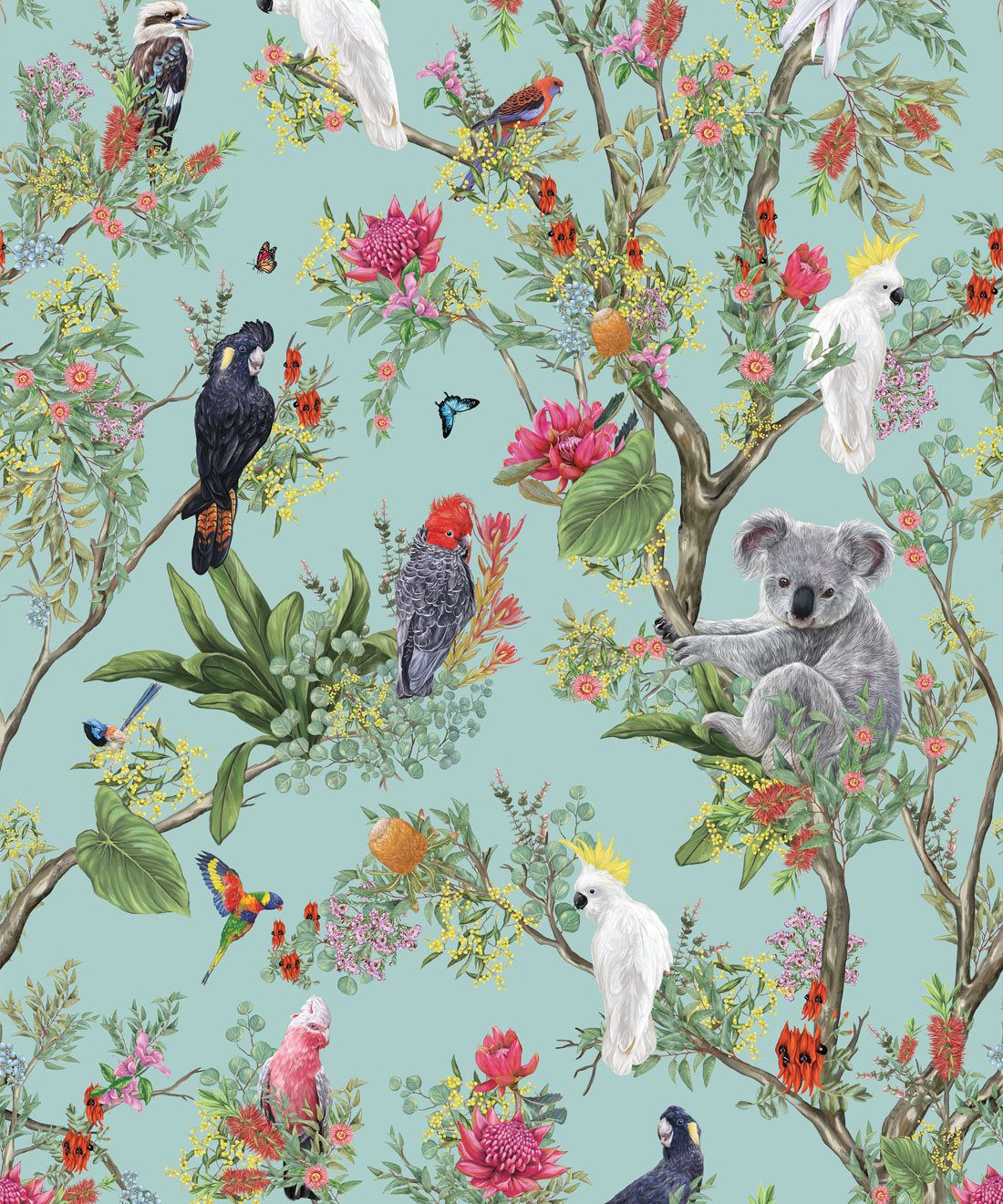 Parrot , HD Wallpaper & Backgrounds