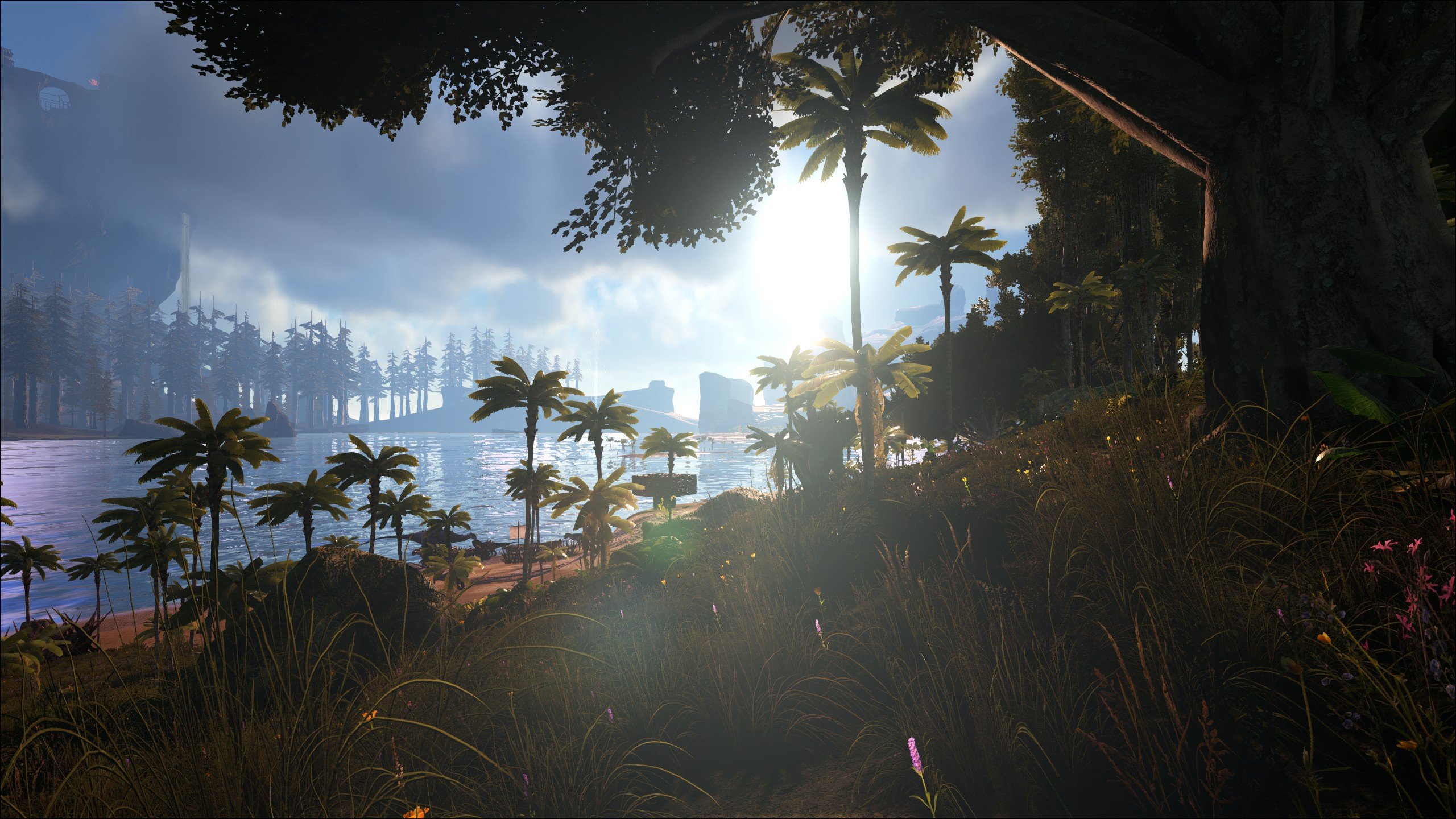 Ark Survival Evolved Ultra , HD Wallpaper & Backgrounds