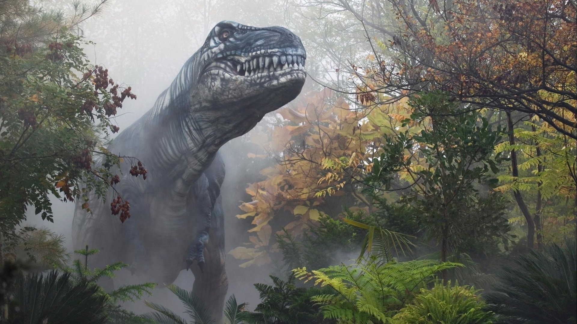 1920x1080, Tyrannosaurus Rex Animals Dinosaurs Wallpaper - Ark Survival Evolved Background 4k , HD Wallpaper & Backgrounds