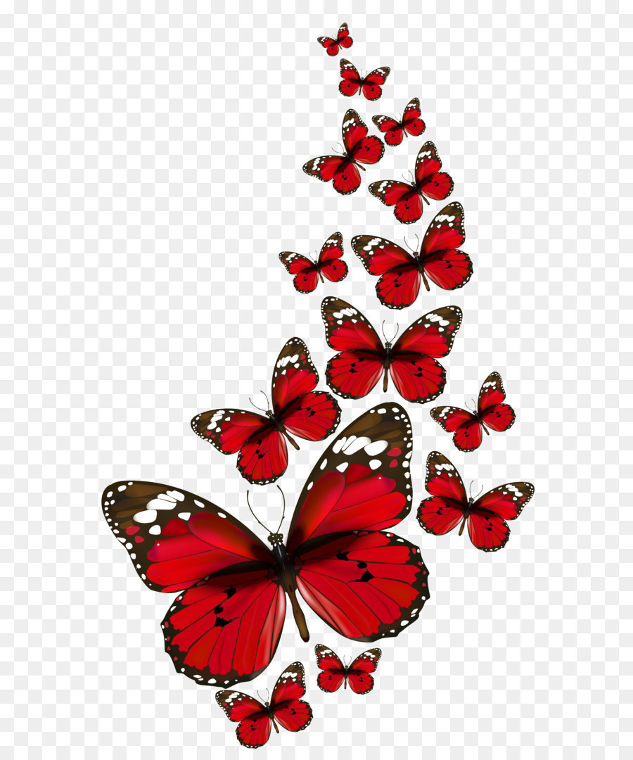 Butterfly Clip Art - Red Butterfly Transparent Background , HD Wallpaper & Backgrounds