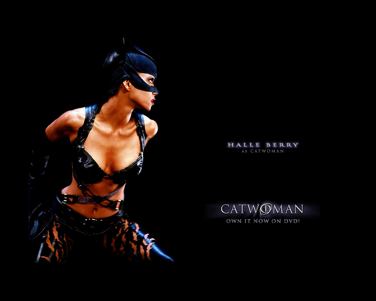 Halle Berry As Catwoman , HD Wallpaper & Backgrounds