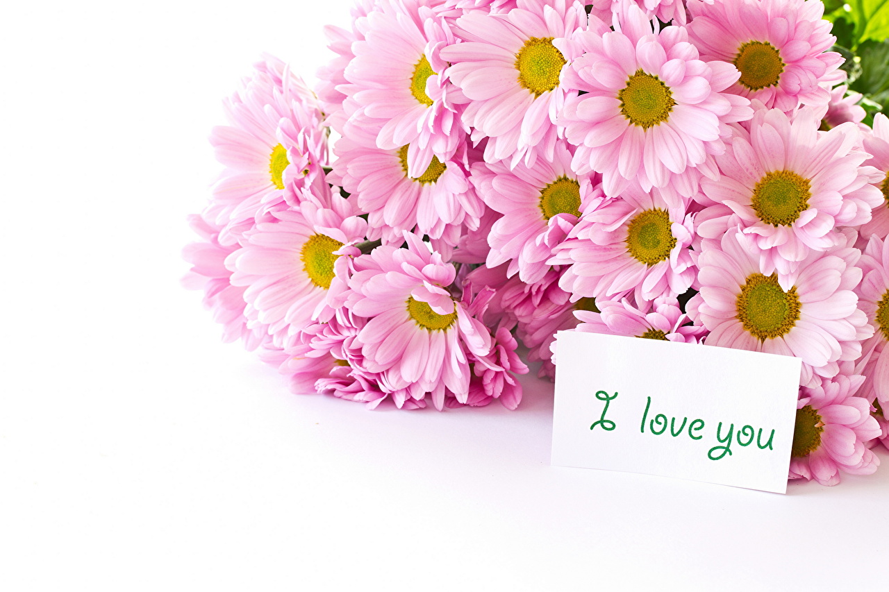 Love You Flower Images Flower I Love You Wallpaper (#2563163) - HD