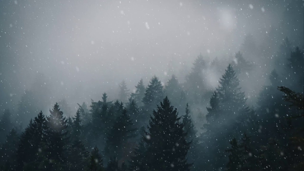 Animated Forest Snow 4k , HD Wallpaper & Backgrounds