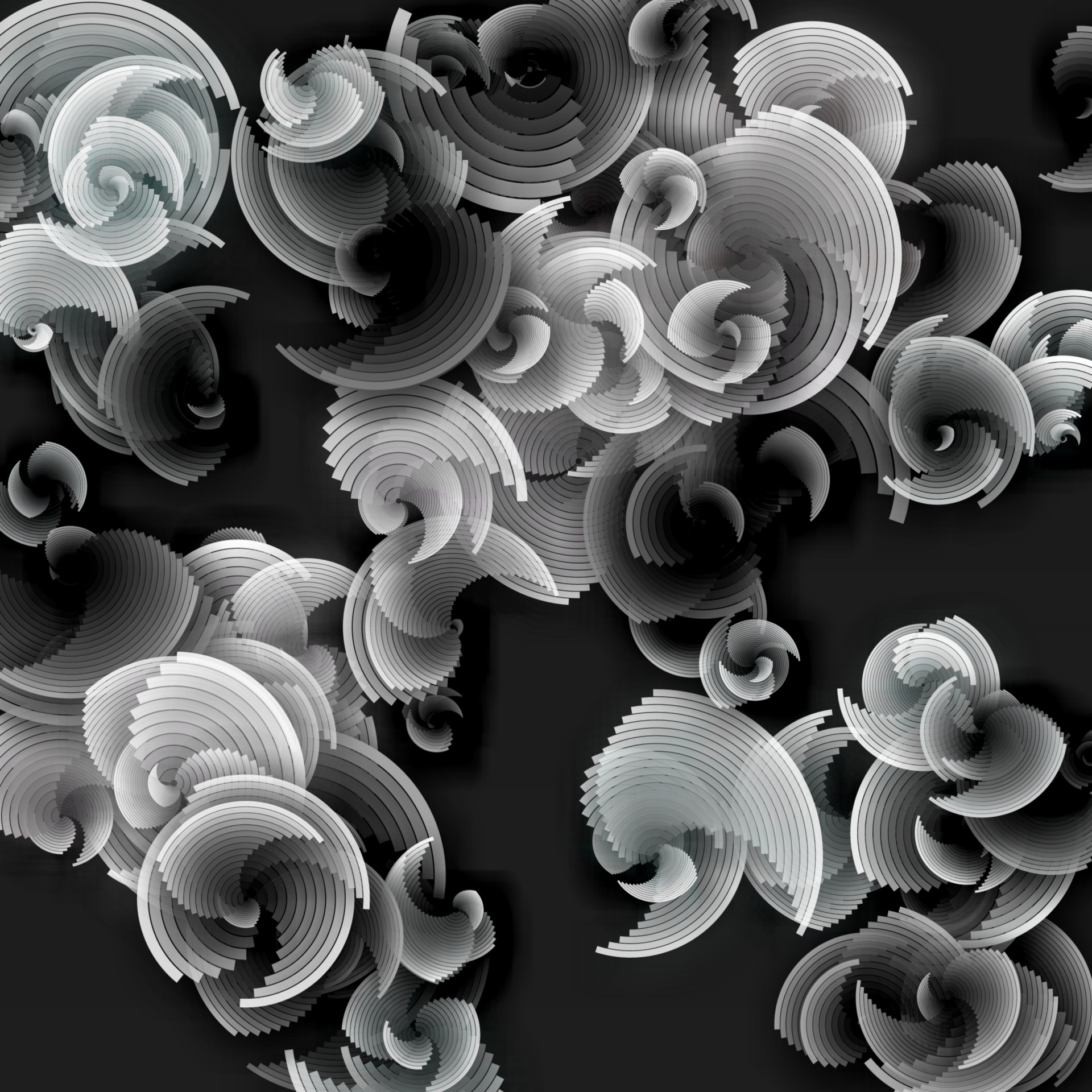 Wallpaper Black White Free Photo - Black And Grey And White Flower , HD Wallpaper & Backgrounds