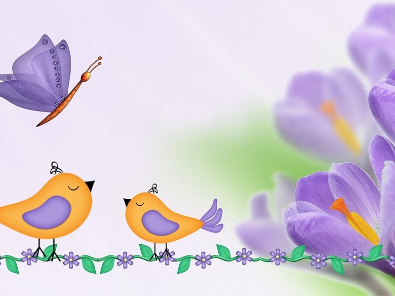 Purple Crocus Birds Butterfly Wallpaper - Spring Flowers Clip Art , HD Wallpaper & Backgrounds