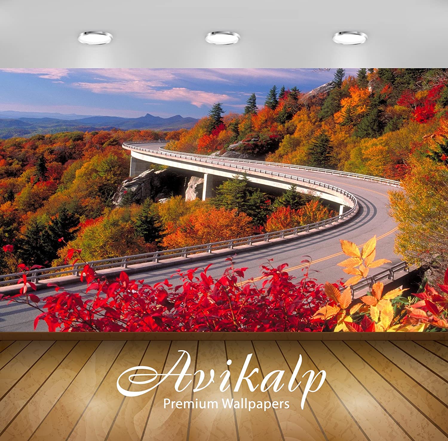 Avikalp Exclusive Awi1669 Beautiful Scenery Road Full - Beginning Of Fall , HD Wallpaper & Backgrounds