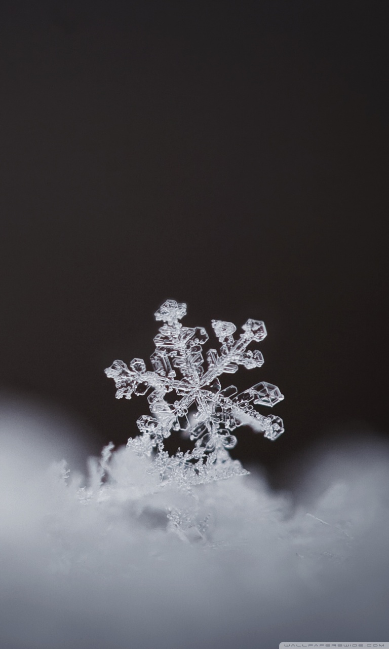 Real Snowflake Wallpaper Iphone , HD Wallpaper & Backgrounds