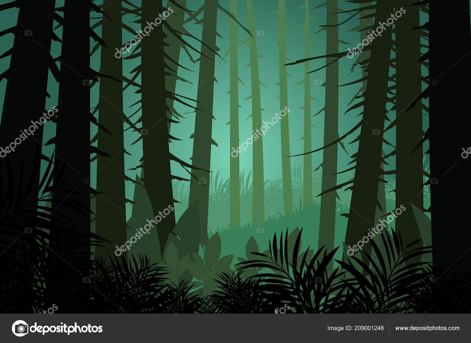 Old-growth Forest , HD Wallpaper & Backgrounds