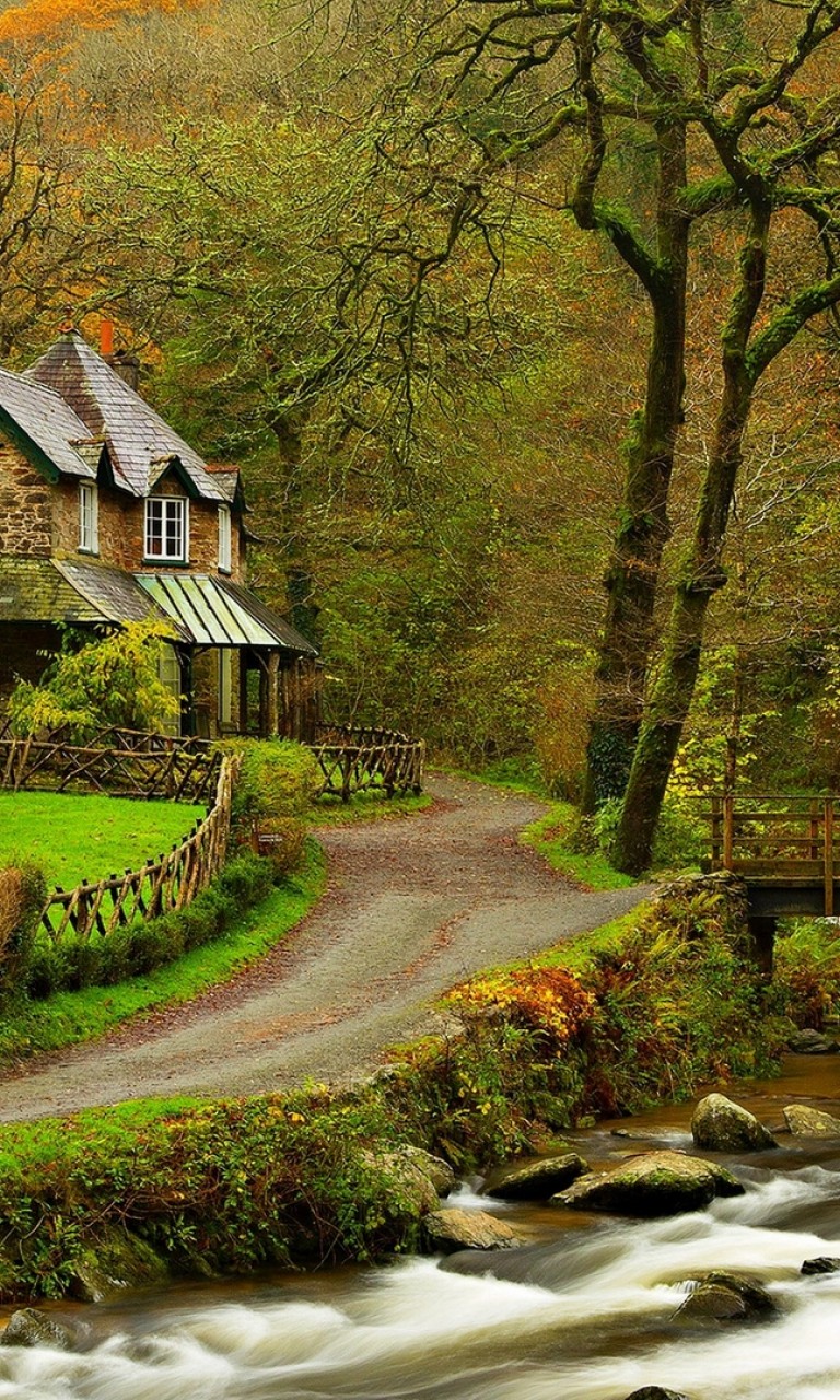 Forest Beautiful Houses In Nature , HD Wallpaper & Backgrounds