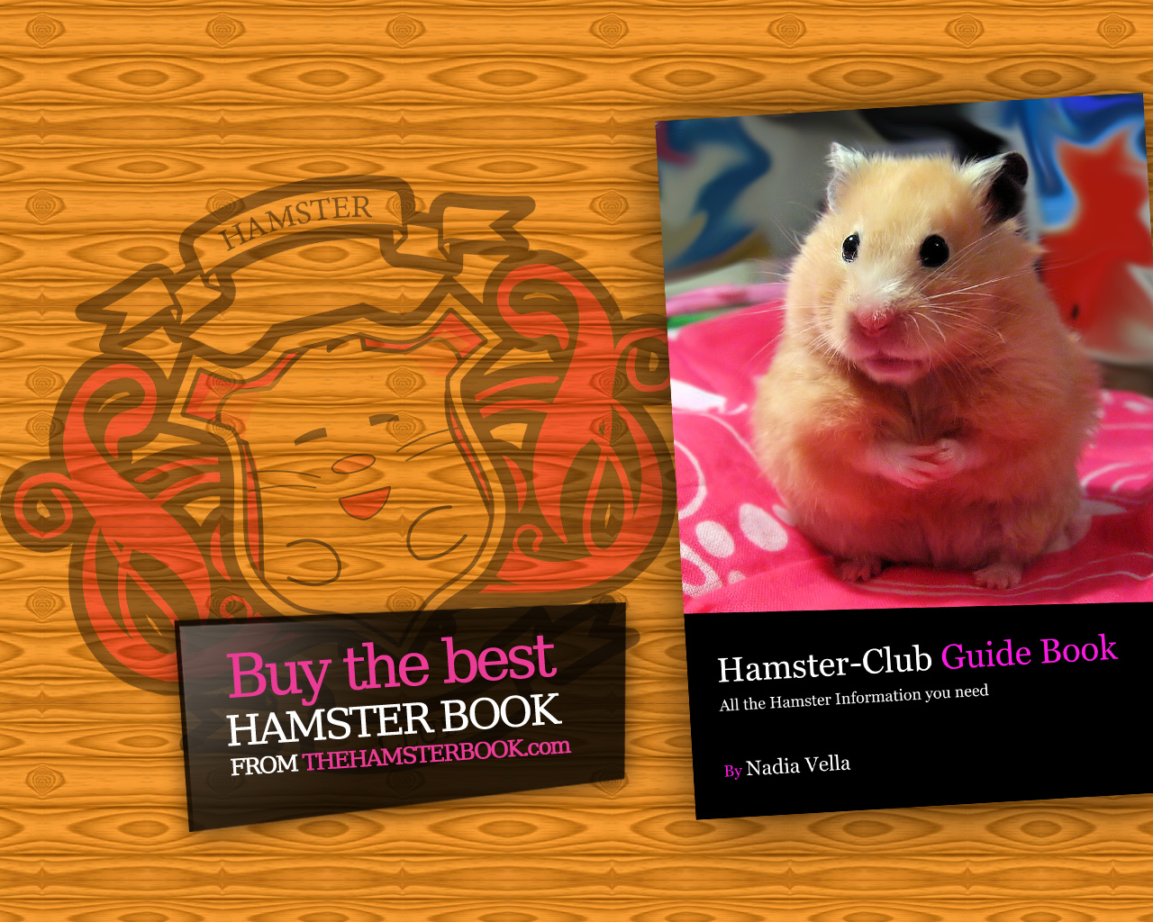 Hamster , HD Wallpaper & Backgrounds