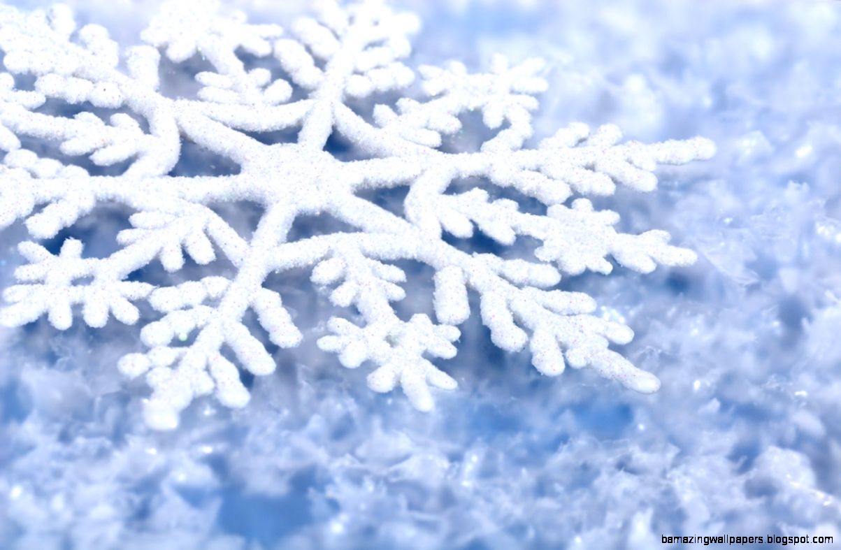 Winter Snowflakes Wallpaper Wallpapersafari - Winter Wallpaper Snowflake , HD Wallpaper & Backgrounds