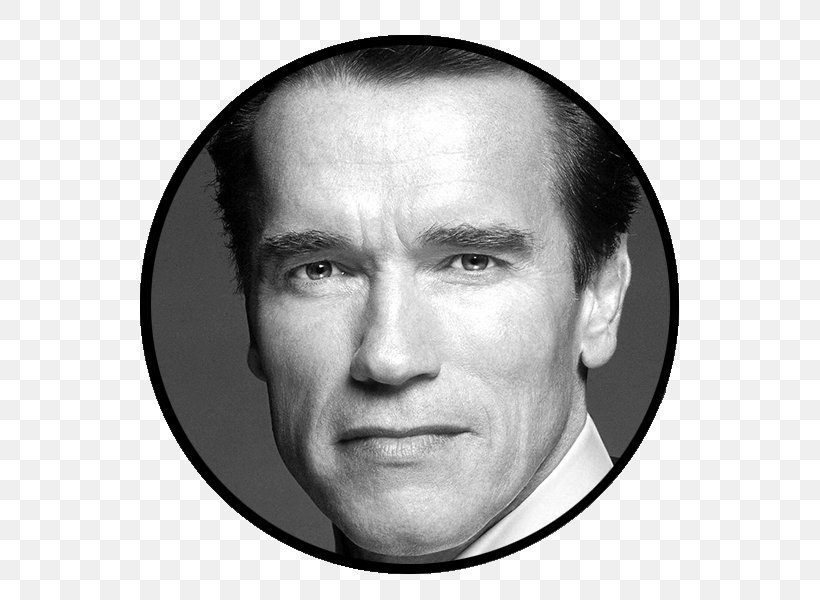 Arnold Schwarzenegger The Terminator Arnold Sports - Arnold Schwarzenegger Actor , HD Wallpaper & Backgrounds