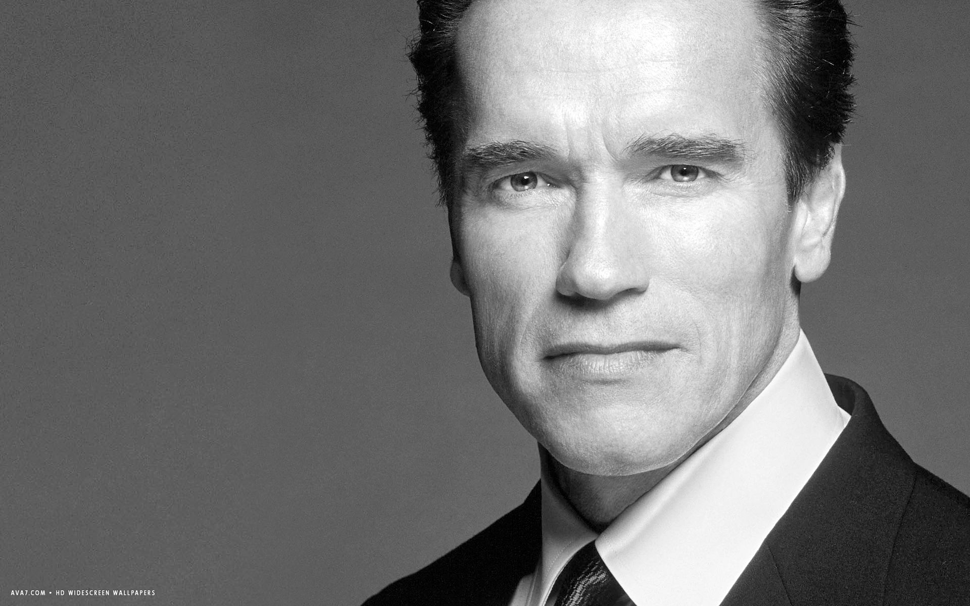 Arnold Schwarzenegger Actor Hd Widescreen Wallpaper - Arnold Five Rules Of Success , HD Wallpaper & Backgrounds