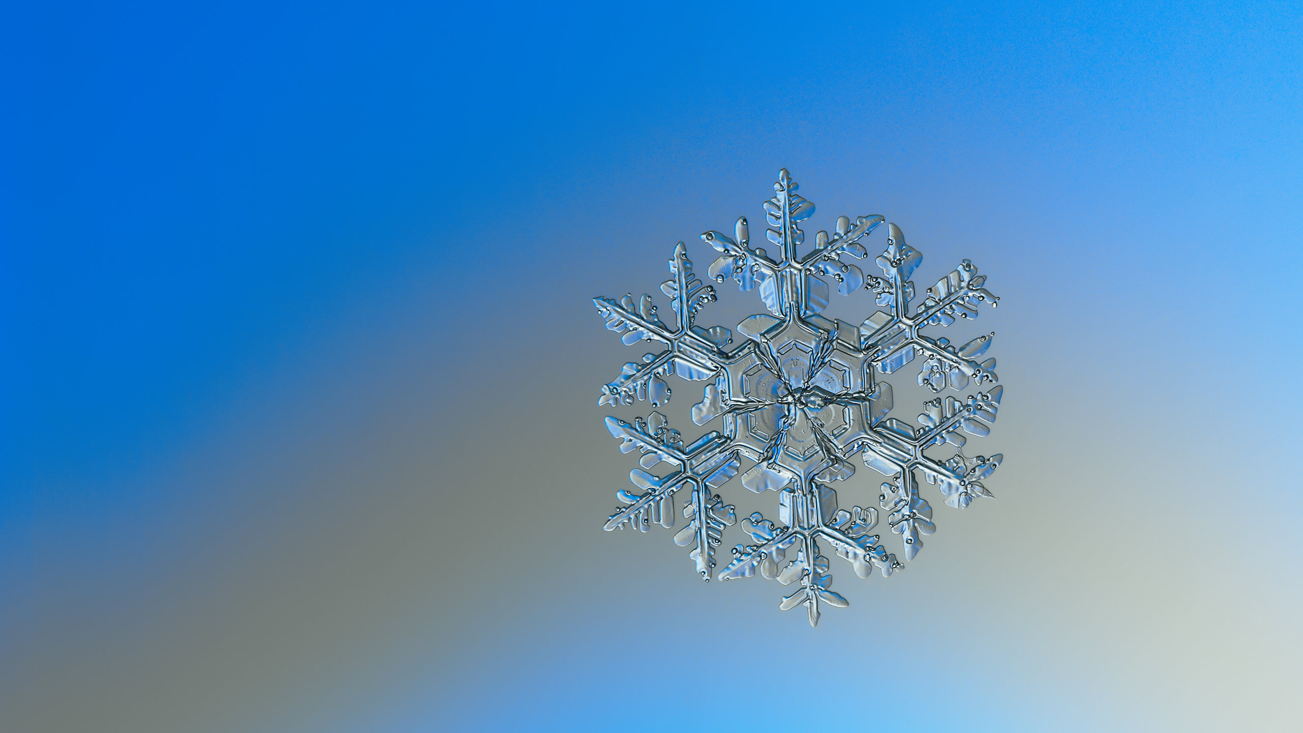 Download Hd Snowflake Desktop Wallpaper Id - Wallpaper , HD Wallpaper & Backgrounds