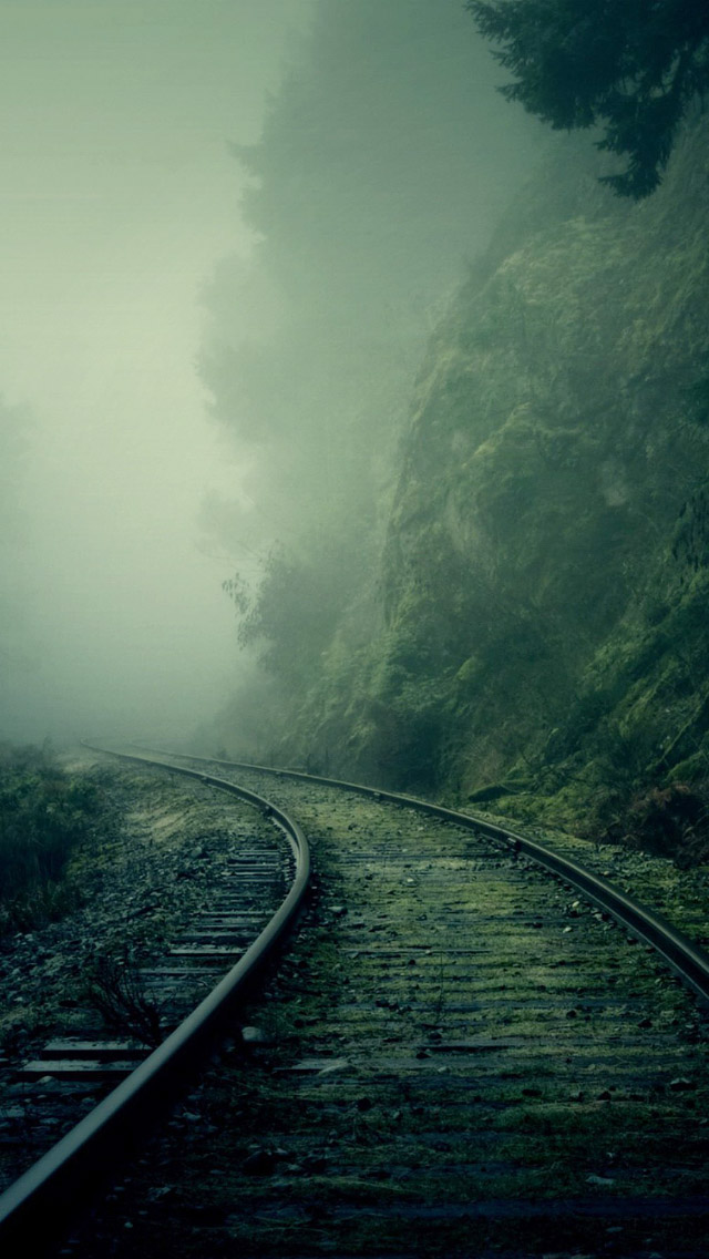 Train Track Foggy In Forest , HD Wallpaper & Backgrounds
